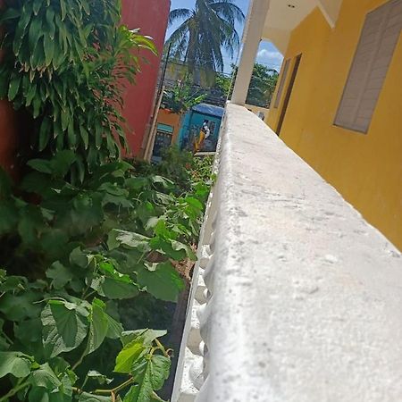 Tucán Playa del Carmen Kültér fotó