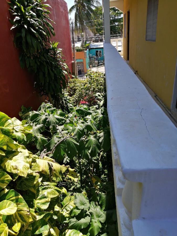 Tucán Playa del Carmen Kültér fotó